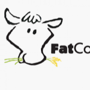 FatCow Hosting Review